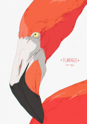Rule 34 | animal, animal focus, artist name, bird, close-up, closed mouth, commentary, constricted pupils, english commentary, english text, flamingo, from side, heart, highres, looking ahead, no humans, original, sidelighting, signature, simple background, solo, white background, xi zhang, yellow eyes