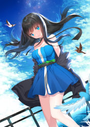 Rule 34 | 1girl, :&gt;, bare shoulders, bird, black hair, black jacket, blue dress, blue eyes, blue sky, blush, closed mouth, clothes pull, cloud, cloudy sky, commentary request, day, dress, dutch angle, floating hair, jacket, jacket pull, long hair, looking at viewer, original, outdoors, railing, roh nam kyung, sky, smile, solo, standing