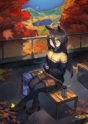 Rule 34 | absurdres, ahoge, animal ears, autumn leaves, backpack, bag, bench, black hair, black pantyhose, boots, bug, butterfly, coffee, coffee cup, cup, disposable cup, ear tag, hair between eyes, highres, hiking, horse ears, horse girl, insect, jacket, lake, long bangs, long hair, long sleeves, manhattan cafe (umamusume), nature, on bench, pantyhose, resting, rottenpizza, shorts, sitting, sportswear, thermos, tree, umamusume