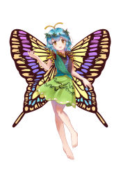 Rule 34 | 1girl, antennae, aqua hair, barefoot, blush, butterfly wings, dress, eternity larva, fairy, full body, green dress, highres, insect wings, leaf, leaf on head, looking at viewer, miujo, multicolored clothes, multicolored dress, open mouth, orange eyes, short hair, short sleeves, simple background, smile, solo, touhou, white background, wings