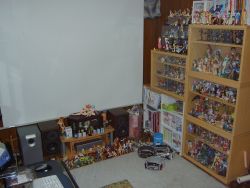 Rule 34 | bookshelf, figure, no humans, otaku room, photo (medium), tagme