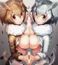 Rule 34 | 10s, 2girls, alternate breast size, animal ears, blurry, blush, breast press, breasts, brown eyes, brown hair, closed mouth, clothes lift, cowboy shot, depth of field, eurasian eagle owl (kemono friends), feathers, fingers together, fur collar, gradient background, grey hair, hair between eyes, highres, holding hands, kemono friends, large breasts, looking at viewer, multiple girls, northern white-faced owl (kemono friends), red eyes, short hair, sleeves past elbows, smile, symmetrical docking, symmetry, upper body, yamacchi