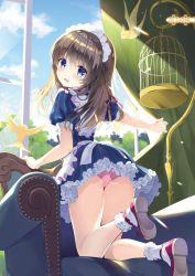 Rule 34 | 1girl, :d, absurdres, animal, ankle strap, apron, arm support, armchair, ass, bird, birdcage, blue dress, blue eyes, blue sky, blush, bobby socks, braid, brown hair, cage, chair, cloud, curtains, day, dress, frilled apron, frilled socks, frills, hair between eyes, hair ribbon, highres, indoors, kneeling, long hair, looking at viewer, looking back, maid, maid headdress, on chair, open mouth, open window, original, outstretched arm, panties, pink panties, puffy short sleeves, puffy sleeves, red footwear, red ribbon, ribbon, shoe soles, shoes, short sleeves, sky, smile, socks, solo, striped clothes, striped dress, takashina asahi, underwear, vertical-striped clothes, vertical-striped dress, white apron, white socks, window