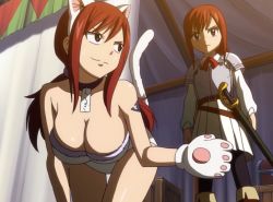 Rule 34 | 2girls, animal ears, armor, breasts, brown eyes, cleavage, dual persona, erza scarlet, fairy tail, fake animal ears, gloves, highres, kittysuit, large breasts, long hair, multiple girls, nontraditional playboy bunny, paw gloves, paws, red hair, screencap, stitched, sword, tail, tattoo, third-party edit, weapon