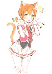 Rule 34 | 10s, 1girl, animal ears, bittersweet (dalcoms), bokura no live kimi to no life, cat ears, cat tail, hoshizora rin, kemonomimi mode, looking at viewer, love live!, love live! school idol project, orange hair, paw pose, paw print, short hair, simple background, skirt, smile, solo, tail, white background