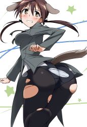 Rule 34 | 1girl, animal ears, ass, black pantyhose, blush, breasts, brown eyes, brown hair, clenched teeth, dog ears, from behind, gertrud barkhorn, hair ribbon, highres, long hair, long sleeves, looking back, military, military uniform, panties, panties under pantyhose, pantyhose, ribbon, solo, star (symbol), strike witches, tail, teeth, torn clothes, torn pantyhose, twintails, underwear, uniform, white panties, world witches series, yumekaranigeruna