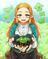 Rule 34 | 1girl, absurdres, animal, black gloves, blonde hair, blue eyes, braid, brown footwear, commentary request, commission, fingerless gloves, frog, fukumaaya, gloves, green eyes, hair ornament, hairclip, highres, holding, holding animal, kneeling, long hair, looking at viewer, nintendo, open mouth, pantyhose, pointy ears, princess zelda, short sleeves, sidelocks, skeb commission, solo, straight-on, the legend of zelda, the legend of zelda: breath of the wild, thick thighs, thighs, translation request