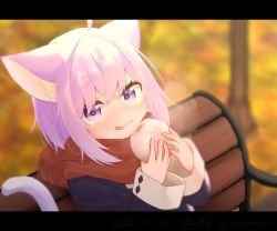 Rule 34 | 1girl, :3, :q, ahoge, animal ears, autumn, baozi, blush, cat ears, cat girl, cat tail, eating, food, hair between eyes, highres, hololive, letterboxed, long sleeves, looking at viewer, nekomata okayu, nekomata okayu (casual), on bench, pon kichi, purple eyes, purple hair, red scarf, scarf, short hair, sitting, sleeve cuffs, solo, tail, tongue, tongue out, upper body, virtual youtuber