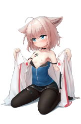 Rule 34 | 1girl, absurdres, ahoge, akelp, animal ears, arknights, bare shoulders, black choker, black pantyhose, black skirt, blue eyes, blue shirt, blush, breasts, brown hair, choker, clothes pull, coat, collarbone, fox ears, highres, looking away, material growth, nipples, open mouth, oripathy lesion (arknights), pantyhose, shirt, shirt pull, short hair, simple background, sitting, skirt, small breasts, solo, strap slip, sussurro (arknights), tearing up, thigh strap, thighs, undressing, wariza, white background, white coat