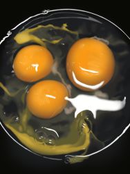 Rule 34 | bubble, commentary request, egg, egg yolk, food, food focus, highres, huge filesize, making-of available, no humans, original, photorealistic, realistic, yakkunn