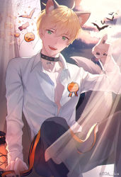Rule 34 | 1boy, ahoge, animal collar, animal ears, arm support, arthur pendragon (fate), artist name, bad id, bad pixiv id, bat (animal), blonde hair, candy print, cat ears, choker, claw pose, collar, collarbone, collared shirt, commentary request, curtains, dress shirt, fate/stay night, fate (series), green eyes, halloween, hand up, highres, koa (koa 124), lamp, looking at viewer, male focus, nail polish, open mouth, orange ribbon, pants, pumpkin print, ribbon, shirt, short hair, sitting, smile, solo, tail, teeth, unbuttoned, unbuttoned shirt, upper teeth only, white shirt, wolf ears, wolf tail