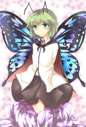Rule 34 | 1girl, antennae, butterfly wings, cape, female focus, green eyes, green hair, insect wings, matching hair/eyes, midori (misuriru8), midori (pixiv76139), plant, short hair, skirt, solo, touhou, white background, wings, wriggle nightbug
