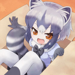 Rule 34 | 1girl, :d, animal ear fluff, animal ears, black bow, black bowtie, black skirt, bow, bowtie, box, brown eyes, cardboard box, commentary, common raccoon (kemono friends), elbow gloves, extra ears, eyes visible through hair, fang, fur trim, gloves, grey hair, highres, in box, in container, kemono friends, looking at viewer, multicolored hair, open mouth, pantyhose, puffy short sleeves, puffy sleeves, raccoon ears, raccoon tail, short hair, short sleeves, skirt, smile, solo, tail, white hair, white pantyhose, xxsaakoxx