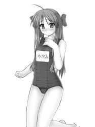 Rule 34 | 00s, 1girl, barefoot, feet, hiiragi kagami, lucky star, monochrome, simple background, sketch, solo, swimsuit