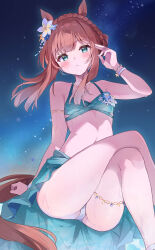 Rule 34 | 1girl, absurdres, alternate costume, alternate hairstyle, animal ears, bikini, blue eyes, blush, breasts, collarbone, crossed legs, flower, hair flower, hair ornament, highres, horse ears, horse tail, jewelry, looking at viewer, mola mola, navel, necklace, night, orange hair, silence suzuka (emerald on the waves) (umamusume), silence suzuka (umamusume), sitting, sky, small breasts, solo, star (sky), starry sky, swimsuit, tail, umamusume