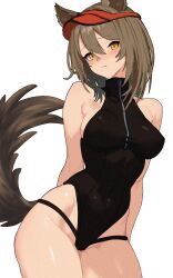 Rule 34 | 1girl, absurdres, animal ears, arknights, arms behind back, bare shoulders, binware, black one-piece swimsuit, blush, breasts, brown hair, closed mouth, commentary request, cowboy shot, hair between eyes, highleg, highleg swimsuit, highres, looking at viewer, medium breasts, official alternate costume, one-piece swimsuit, orange eyes, projekt red (arknights), projekt red (light breeze) (arknights), short hair, solo, swimsuit, tail, transparent background, wolf ears, wolf girl, wolf tail