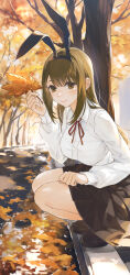 Rule 34 | 1girl, absurdres, animal ears, autumn, autumn leaves, breasts, brown footwear, brown hair, brown skirt, clenched hand, closed mouth, collared shirt, fake animal ears, full body, hand up, highres, holding, holding leaf, large breasts, leaf, loafers, long hair, long sleeves, mole, mole under eye, neck ribbon, original, outdoors, rabbit ears, red ribbon, ribbon, school uniform, shirt, shoes, sidelocks, skirt, smile, solo, squatting, swkl:d, thighs, tree, white shirt