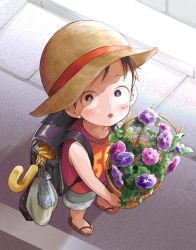 Rule 34 | 1boy, age regression, aged down, bag, basket, black eyes, black hair, child, commentary request, flip-flops, flower, from above, hat, highres, holding, holding basket, looking at viewer, looking up, male focus, monkey d. luffy, numbered, one piece, open mouth, red shirt, road, sandals, scar, school bag, shirt, short hair, shorts, solo, standing, street, szk (szkintama), umbrella