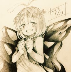 Rule 34 | 1girl, antennae, bad id, bad twitter id, bare arms, blush, butterfly wings, commentary, eternity larva, grin, highres, iiha toobu, insect wings, leaf, leaf on head, looking at viewer, monochrome, short hair, sketch, smile, solo, tareme, touhou, wings