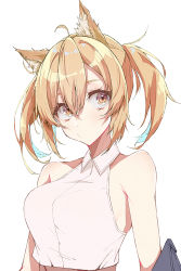 Rule 34 | 1girl, ahoge, animal ears, arknights, bare shoulders, blonde hair, blue hair, breasts, closed mouth, collared shirt, colored inner hair, e sky rugo, hair between eyes, highres, looking at viewer, medium breasts, multicolored hair, sanpaku, shirt, simple background, solo, sora (arknights), twintails, upper body, white background, white shirt, wing collar, yellow eyes