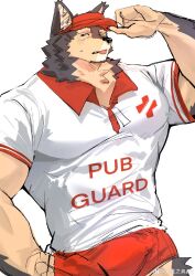 Rule 34 | 1boy, animal ears, bara, dog boy, dog ears, furry, furry male, hand on own hip, hat, highres, lifeguard, live a hero, looking to the side, male focus, muscular, muscular male, pectorals, pubraseer (live a hero), red hat, red shorts, shirt, shorts, sweatdrop, tongue, tongue out, visor cap, wang yzzx, weibo logo, weibo watermark, white background, white shirt