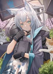 Rule 34 | 1girl, absurdres, animal, animal ear fluff, animal ears, arknights, backpack, bag, black coat, black gloves, book, bracelet, cat, cat ears, cat girl, character sheet, closed mouth, coat, cowboy shot, dress, eyebrows hidden by hair, fingerless gloves, gloves, green eyes, highres, holding, holding book, infection monitor (arknights), jewelry, long hair, looking at viewer, meganeno dokitsui, open clothes, open coat, plant, rosmontis (arknights), screen, silver hair, solo, white dress