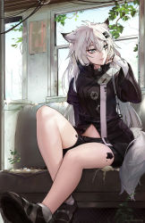 Rule 34 | 1girl, animal ears, arknights, bare legs, black footwear, black jacket, black shorts, fingerless gloves, gloves, grey eyes, hair between eyes, hair ornament, hairclip, hand up, highres, indoors, jacket, knee up, lappland (arknights), leaf, long hair, long sleeves, looking to the side, material growth, midriff peek, navel, oripathy lesion (arknights), parted lips, scar, scar across eye, scar on face, shoes, short shorts, shorts, sitting, solo, tail, thighs, train interior, unsomnus, white gloves, white hair, wide sleeves, window, wolf ears, wolf tail