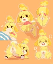 Rule 34 | &gt; &lt;, 1boy, 1girl, 2021, absurdres, animal crossing, animal ears, animal nose, anus, artist logo, ass, bell, black eyes, blonde hair, blush, blush stickers, breasts, cleft of venus, closed eyes, collarbone, dated, disembodied penis, dog ears, dog girl, dog tail, fellatio, full body, furry, furry female, furry with non-furry, hair bell, hair ornament, hand on another&#039;s thigh, highres, interspecies, isabelle (animal crossing), jingle bell, leaf print, looking back, medium breasts, motion lines, navel, nintendo, nipples, nude, open mouth, oral, orange background, outline, penis, presenting, pussy, pussy juice, sake kemosalmon, sex, shiny skin, shirt, short sleeves, silhouette, smile, solo focus, spread legs, tail, teeth, testicles, thick thighs, thighs, tongue, top-down bottom-up, topknot, uncensored, upper teeth only, vaginal