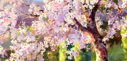 Rule 34 | day, flower, no humans, outdoors, rwby, sae-midori, scenery, tree, white flower