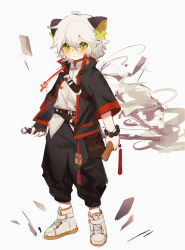Rule 34 | 1boy, absurdres, animal ear fluff, animal ears, arknights, bishounen, black gloves, chinese clothes, fingerless gloves, gloves, green eyes, highres, koimin, luo xiaohei, male focus, shoes, short hair, simple background, solo, sword, luo xiaohei zhanji, weapon, white background, white hair