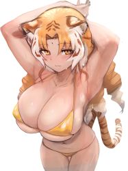Rule 34 | 1girl, alternate breast size, animal ear fluff, animal ears, arm support, armpits, arms behind head, bikini, blush, breasts, brown hair, closed mouth, collarbone, colored inner hair, covered erect nipples, cowboy shot, drill hair, eyes visible through hair, facial mark, forehead mark, golden tabby tiger (kemono friends), halterneck, highres, huge breasts, kemono friends, leaning forward, looking at viewer, micro bikini, multicolored hair, navel, orange eyes, orange hair, seductive smile, shibori kasu, simple background, skindentation, smile, solo, stomach, streaked hair, sweat, swimsuit, tail, tiger ears, tiger girl, tiger tail, white background, white hair, yellow bikini