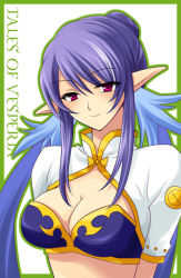 Rule 34 | 00s, 1girl, blue hair, breasts, cleavage, copyright name, hair bun, judith (tales), long hair, miyu (matsunohara), pointy ears, red eyes, single hair bun, smile, solo, tales of (series), tales of vesperia, twintails, white background