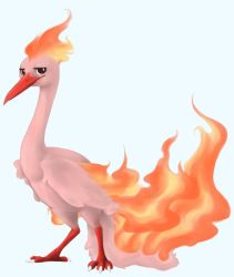 Rule 34 | alternate color, animal focus, bird, black eyes, claws, commentary, creature, creatures (company), english commentary, fire, full body, game freak, gen 1 pokemon, highres, legendary pokemon, madcookiefighter, moltres, nintendo, no humans, pokemon, pokemon (creature), shiny pokemon, simple background, white background