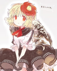 Rule 34 | 1girl, alternate color, animal, animal on head, bird, bird on head, biyon, black dress, black wings, blonde hair, chick, commentary, cowboy shot, dress, feathered wings, grey background, looking at viewer, multicolored hair, niwatari kutaka, on head, own hands together, red eyes, red hair, red neckwear, shirt, short sleeves, smile, solo, symbol-only commentary, touhou, translation request, two-tone hair, white shirt, wings