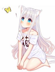 Rule 34 | 1girl, animal ear fluff, animal ears, bare legs, barefoot, blue eyes, blunt bangs, blush, bug, butterfly, cat ears, cat girl, cat tail, clothes writing, collarbone, commentary request, full body, highres, insect, long hair, looking at animal, mizukoshi (marumi), off shoulder, original, seiza, shirt, short sleeves, simple background, sitting, solo, striped, tail, very long hair, white background