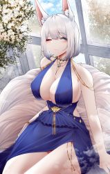 Rule 34 | 1girl, absurdres, animal ear fluff, animal ears, azur lane, bare arms, blue dress, blue eyes, blush, breasts, cleavage, closed mouth, collarbone, dress, flower, fox ears, highres, indoors, jewelry, kaga (azur lane), kaga (exalted white wings) (azur lane), kitsune, kyuubi, large breasts, leaf, multiple tails, necklace, one eye closed, samip, short hair, sideboob, sitting, solo, tail, thick thighs, thighs, tree, white hair, window