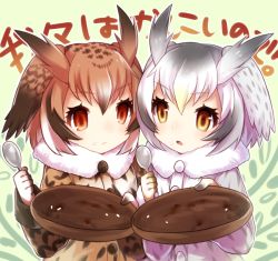 Rule 34 | 10s, 2girls, :&lt;, brown hair, eurasian eagle owl (kemono friends), food, food on face, fur collar, grey hair, head wings, holding, holding spoon, kemono friends, mikan (ama no hakoniwa), multicolored hair, multiple girls, northern white-faced owl (kemono friends), open mouth, plate, red eyes, rice, rice on face, short hair, spoon, translated, white hair, wings, yellow eyes