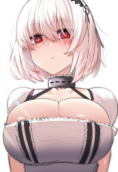 Rule 34 | 1girl, akaoni (zumt3548), azur lane, black hairband, blush, breasts, cleavage, collar, disgust, dress, from below, hairband, highres, large breasts, looking at viewer, looking down, metal collar, puffy short sleeves, puffy sleeves, red eyes, short hair, short sleeves, simple background, sirius (azur lane), solo, upper body, white background, white dress, white hair