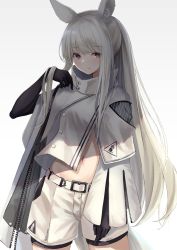 Rule 34 | 1girl, animal ear fluff, animal ears, arknights, belt, black gloves, brown eyes, buttons, cowboy shot, elbow gloves, gloves, gradient background, hand up, highres, jacket, konome noi, long hair, looking at viewer, midriff, navel, parted lips, platinum (arknights), ponytail, short shorts, shorts, silver hair, solo, standing, stomach, very long hair, white background, white jacket, white shorts, zipper