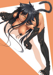 Rule 34 | 1girl, all fours, animal ears, bad id, bad pixiv id, black hair, breasts, cat ears, cat tail, claws, dark skin, dark-skinned female, fang, large breasts, legs, long hair, original, pasties, solo, tail, yellow eyes, zucchini
