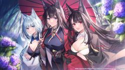 Rule 34 | 3girls, akagi (azur lane), amagi (azur lane), animal ear fluff, animal ears, azur lane, black gloves, black kimono, blue eyes, bracelet, breasts, brown hair, cleavage, closed mouth, commentary request, coyucom, fox ears, fox tail, frown, gloves, grey hair, highres, japanese clothes, jewelry, kaga (azur lane), kimono, kitsune, kyuubi, large breasts, locked arms, long hair, looking at viewer, medium hair, multiple girls, multiple tails, official art, oil-paper umbrella, open mouth, outdoors, parted lips, rain, red eyes, red kimono, sakura empire (emblem), sidelocks, smile, standing, tail, thick eyebrows, umbrella, upper body, very long hair, white kimono