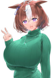 Rule 34 | 1girl, absurdres, ahoge, animal ears, blush, breasts, brown hair, green sweater, hair between eyes, hairband, highres, horse ears, horse girl, huge breasts, jewelry, kntrs (knyrs), meisho doto (umamusume), multicolored hair, necklace, open mouth, pink hairband, purple eyes, ribbed sweater, short hair, simple background, smile, solo, sweater, teeth, two-tone hair, umamusume, upper teeth only, v, white background, white hair