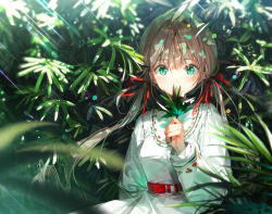 Rule 34 | 1girl, blurry, breasts, brown hair, commentary request, covered mouth, dappled sunlight, day, depth of field, dress, dsmile, green eyes, holding, holding leaf, leaf, light rays, long hair, long sleeves, looking at viewer, low twintails, nature, original, outdoors, revision, sash, smelling, solo, sunlight, twintails, upper body, white dress