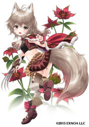 Rule 34 | 1girl, :d, animal ears, ascot, black shirt, black skirt, brown eyes, brown hair, brown thighhighs, capelet, claws, crop top, flower, flower knight girl, fox ears, fox tail, full body, gradient legwear, kei kei, kurobanarouge (flower knight girl), layered skirt, looking at viewer, medium hair, midriff, name connection, object namesake, official art, open mouth, shirt, shoes, simple background, skirt, smile, solo, standing, standing on one leg, tail, thighhighs, white ascot, white background