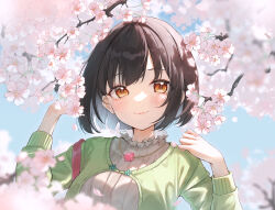 Rule 34 | 1girl, black hair, blurry, blurry background, blurry foreground, blush, cardigan, cherry blossoms, chilia012, commentary request, depth of field, falling petals, green cardigan, highres, idolmaster, idolmaster cinderella girls, looking at viewer, outdoors, petals, shirt, short hair, smile, solo, takafuji kako, upper body, white shirt, yellow eyes