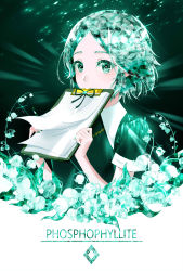 Rule 34 | 1other, androgynous, bad id, bad pixiv id, character name, clipboard, colored eyelashes, crystal hair, flower, glowing, green eyes, green hair, highres, houseki no kuni, looking at viewer, osage (8545675), phosphophyllite, short hair, solo, upper body