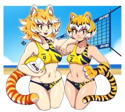 Rule 34 | 2girls, animal ears, ball, black hair, blush, closed mouth, fang, highres, holding, holding ball, looking at viewer, multicolored hair, multiple girls, navel, open mouth, orange hair, original, short hair, smile, taggo, tail, tan, tiger ears, tiger tail, volleyball, volleyball (object), volleyball net, white hair