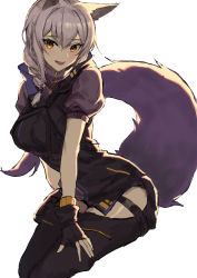 Rule 34 | 1girl, absurdres, animal ears, arknights, black gloves, black pants, black vest, braid, fang, gloves, highres, hip vent, looking at viewer, medium hair, molyb, open mouth, pants, provence (arknights), purple hair, purple shirt, shirt, simple background, sitting, solo, tail, vest, white background, wolf ears, wolf girl, wolf tail, yellow eyes