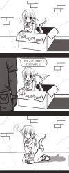 Rule 34 | 1boy, 1girl, 3koma, ?, box, brick wall, collar, comic, commentary, dragon tail, gloves, greyscale, highres, kneeling, monochrome, open mouth, shadow, spoken question mark, tail, tail wagging, velox