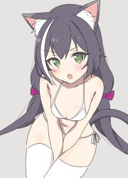 Rule 34 | animal ear fluff, animal ears, black hair, blush, cat ears, cat girl, cat tail, fang, green eyes, grey background, hair ribbon, highres, karyl (princess connect!), kuroha uma, looking at viewer, low twintails, multicolored hair, open mouth, princess connect!, ribbon, simple background, solo, streaked hair, tail, thighhighs, twintails, underwear, white hair, white thighhighs